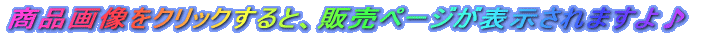 ���i�摜���N���b�N����ƁA�̔��y�[�W���\������܂����